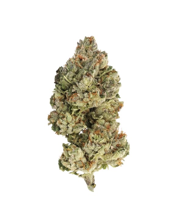 Sativa- Encore - Sativa 28g Dried Flower